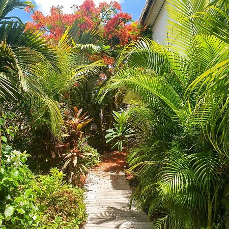 VILLA BLUE LAGOON Suite apartment Lowlands Exterior foto